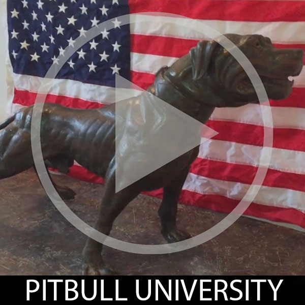 Pitbull University