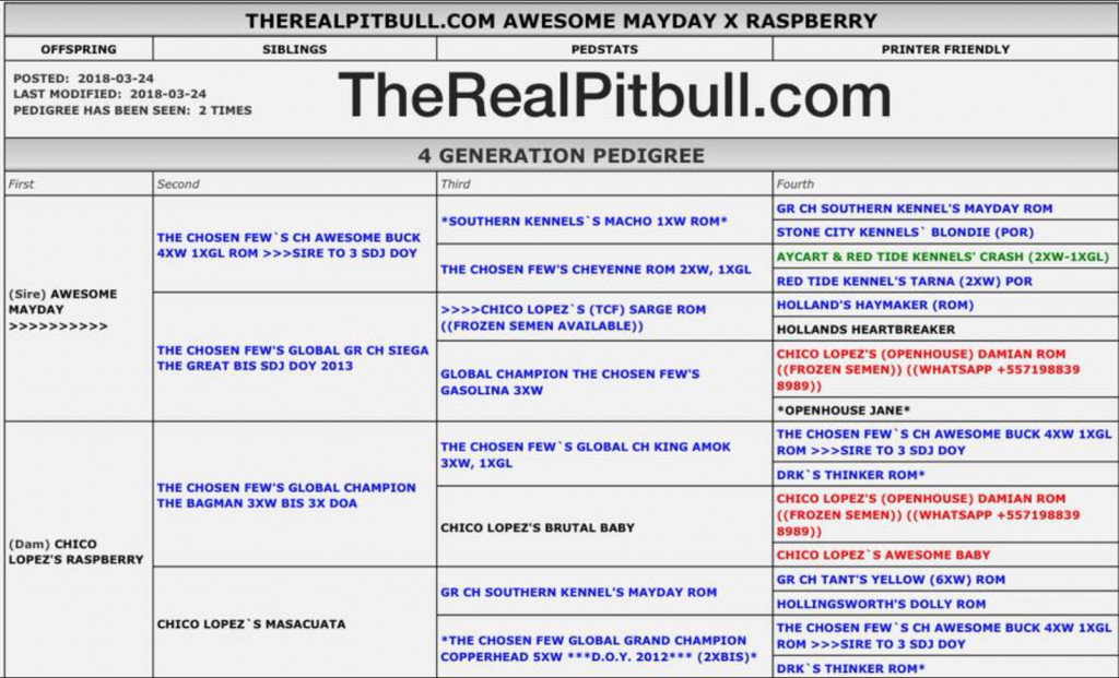 Awesome Mayday pedigree Pitbull, pitbull puppies, APBT, Puppies