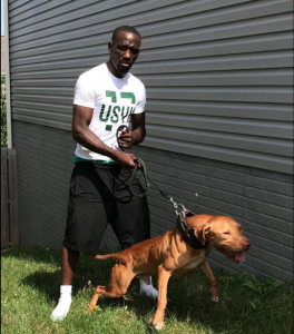 Terence Crawford pitbulls