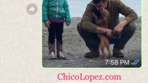 Chico Lopez dogs