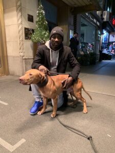 Terence Crawford and Awesome Mayday. " Red Nose Pitbull"