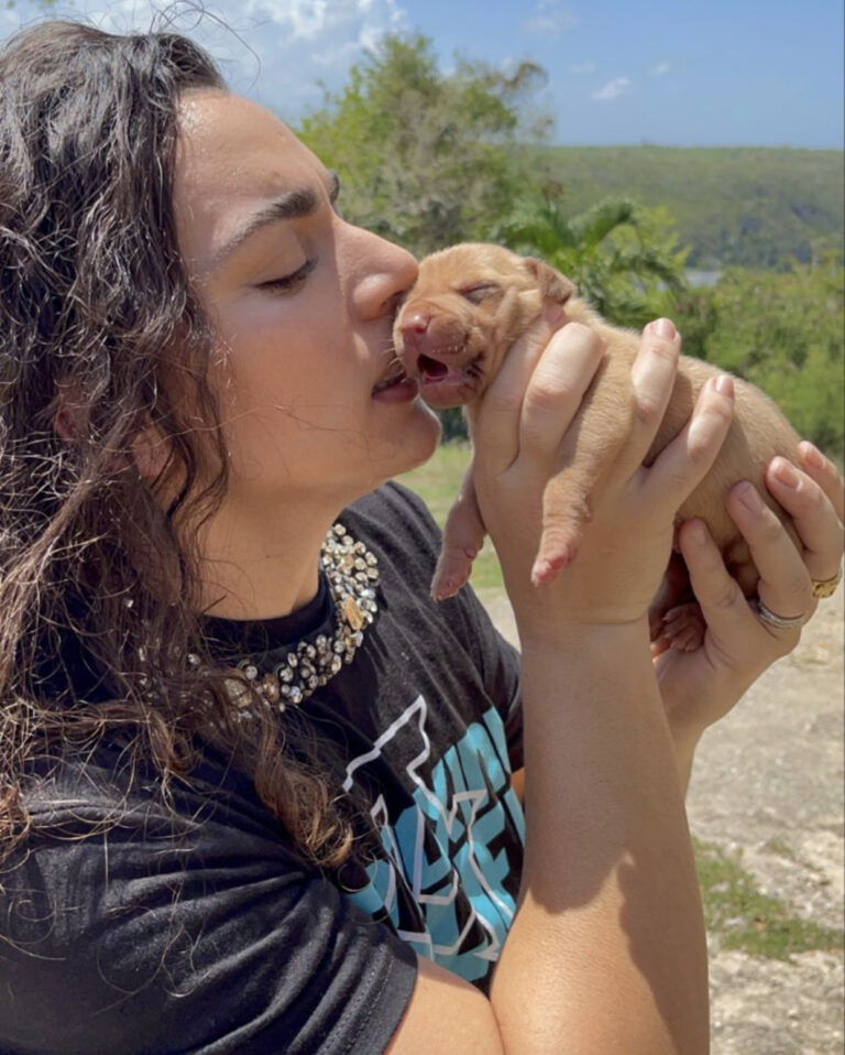 Red nose puppies