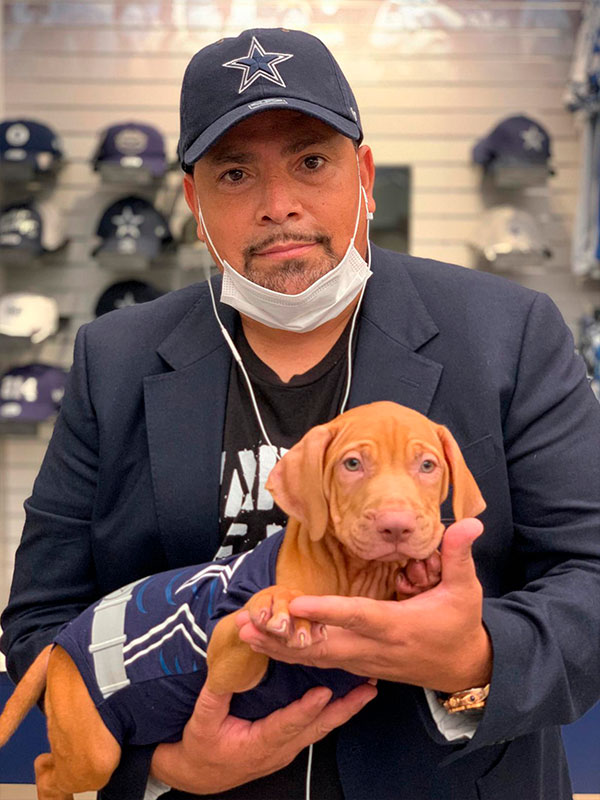 Red nose pitbull Puppy. Chico Lopez dogs. Real Pitbulls . Pitbull Breeder