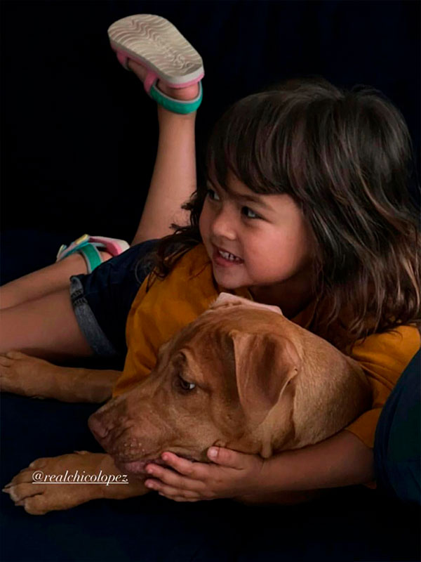 Red nose pitbull Puppy. Chico Lopez dogs. Real Pitbulls . Pitbull Breeder