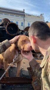 Ukranian war hero dog, Athos from Bucha and Roman