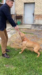 Red Nose american Pitbull Terreir and Mykola Kovalchuck