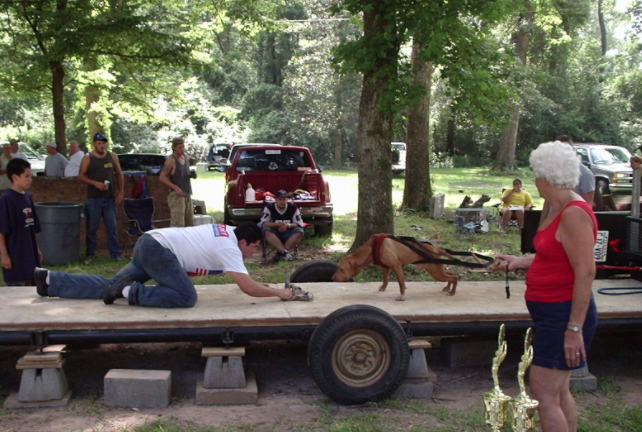 awesome buck weight pupping