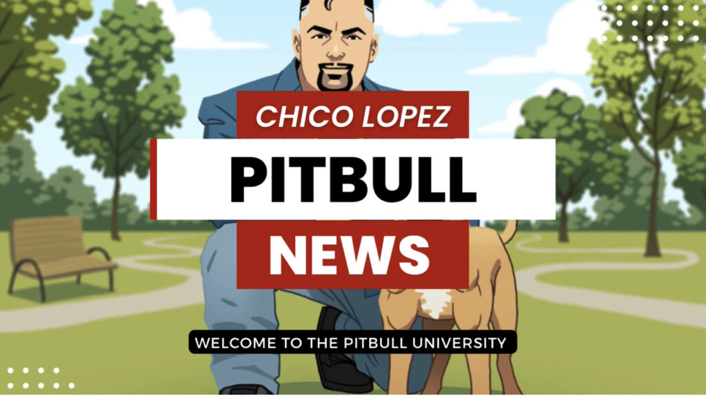 PITBULL NEWS