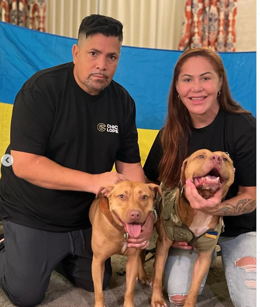 cris cyborg dogs