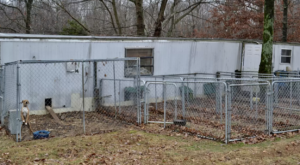  evolution kennels backyard-breeder