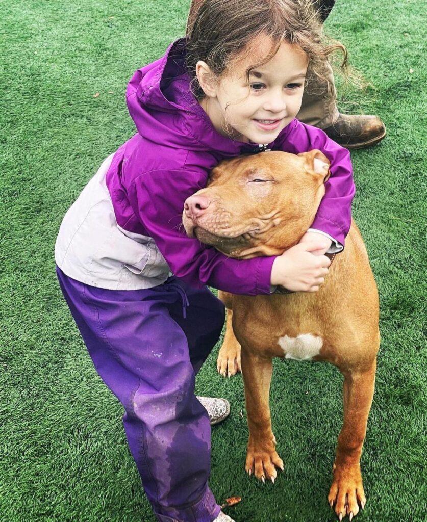 RED NOSE PITBULL PUPPIES FOR SALE • Pitbull Puppies for sale 2023